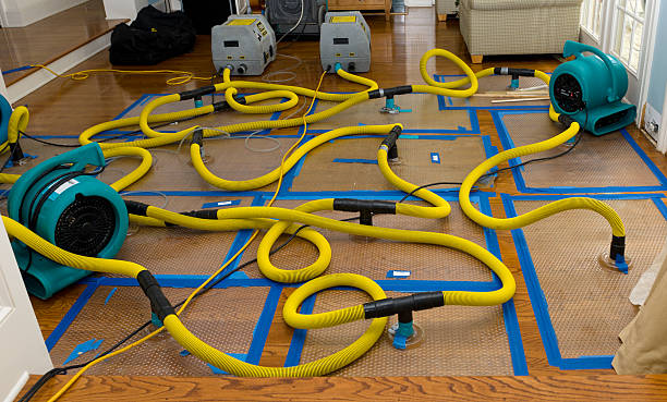 Professional Emergency Water Removal technician working in Janesville, WI